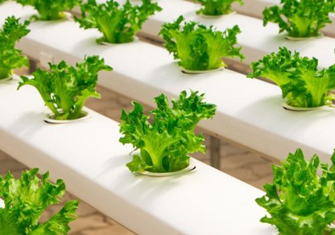 Untitled-2-Recovered